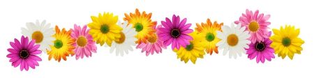 Spring flowers